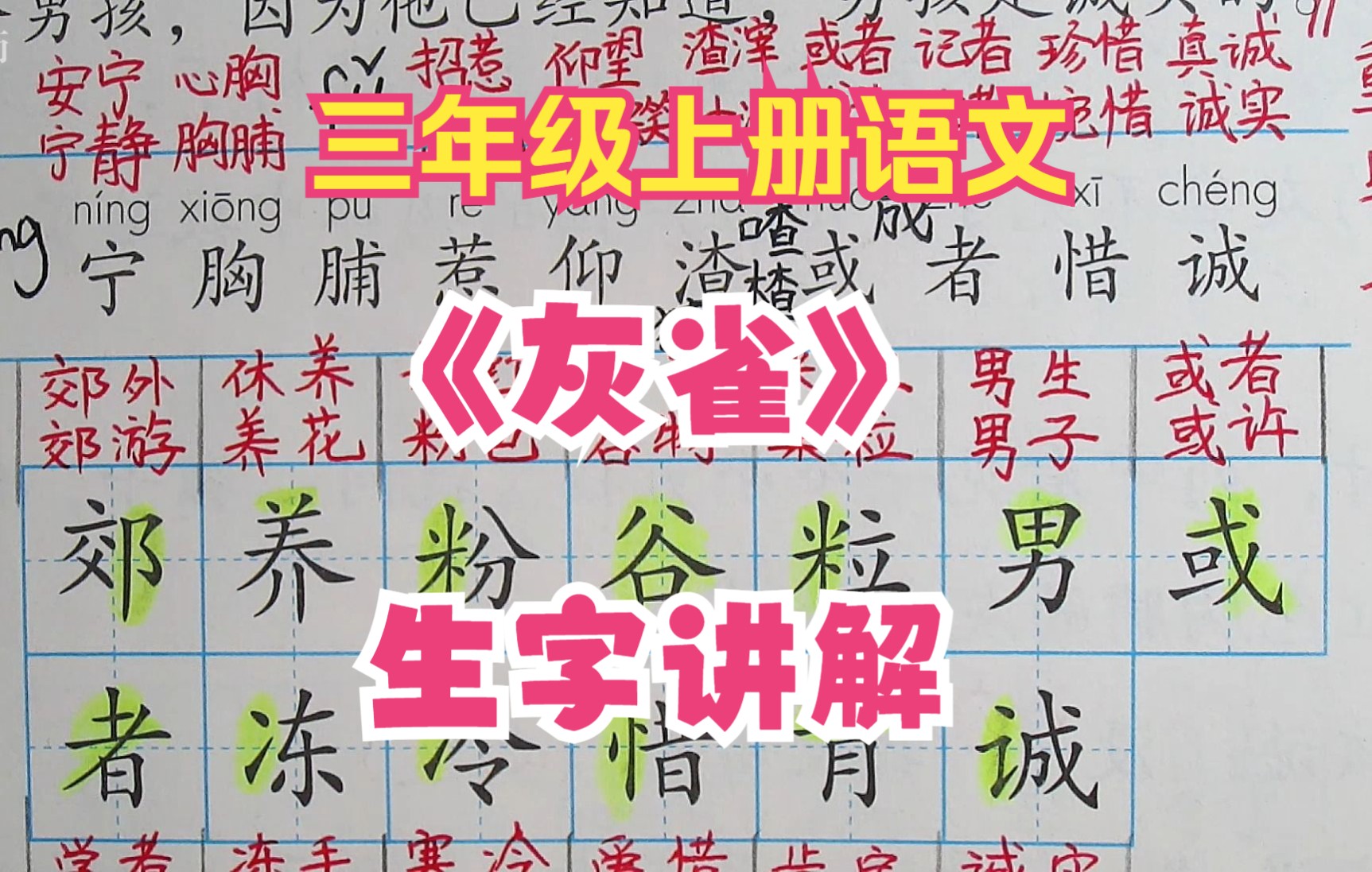 三上语文《灰雀》生字讲解,扎实基础,是学好语文的关键.哔哩哔哩bilibili