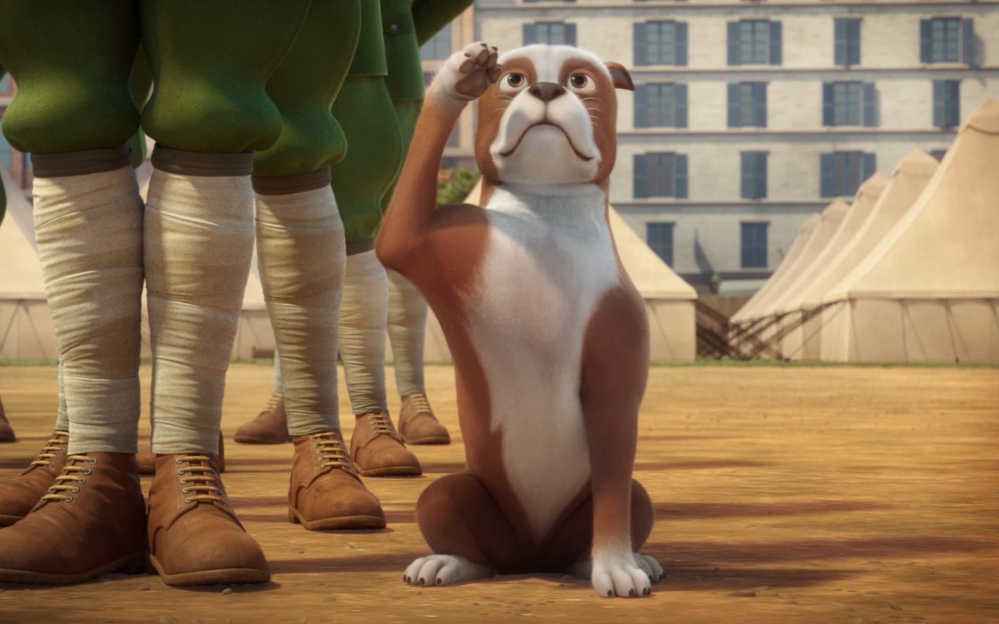 士兵和流浪狗的感人故事《斯塔比中士,一个全国的英雄》