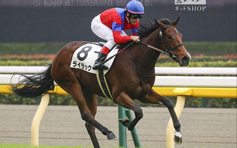 【东京5r新马战】ライラック 黄金巨匠2岁女儿赢下产驹本世代第一场