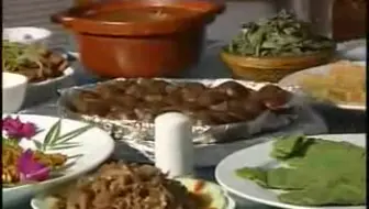 食用蜗牛养殖技术视频（绝对清晰）