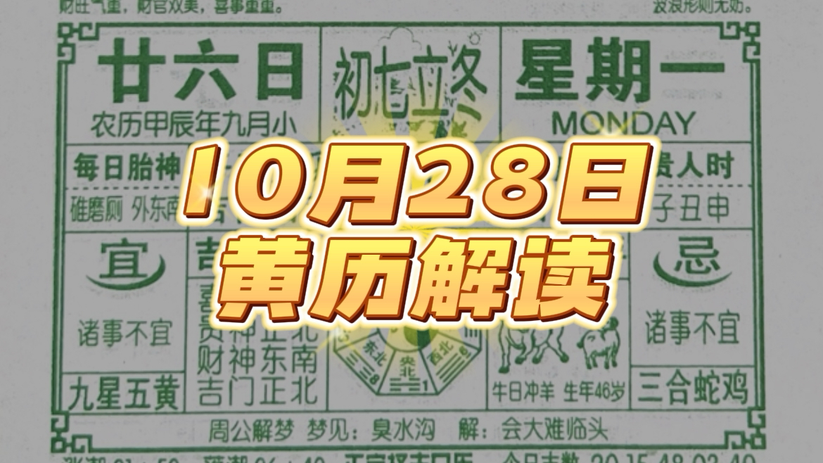 10月28日注意事项!(每日必看)哔哩哔哩bilibili