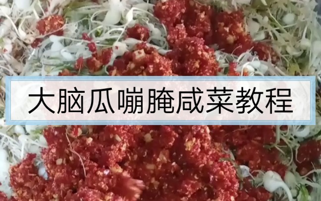 大脑瓜嘣腌咸菜教程来了!哔哩哔哩bilibili