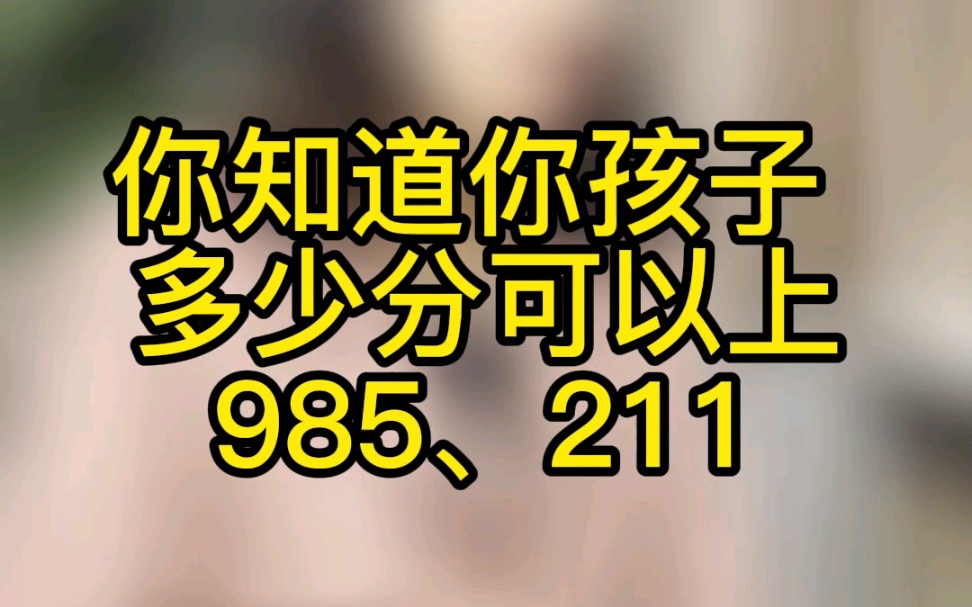 多少分能上985,211大学哔哩哔哩bilibili