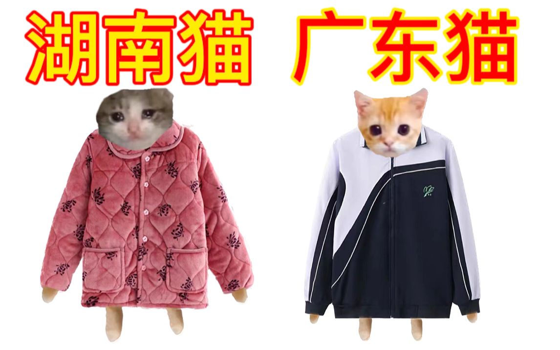 [图]可颂猫 我要买孩子