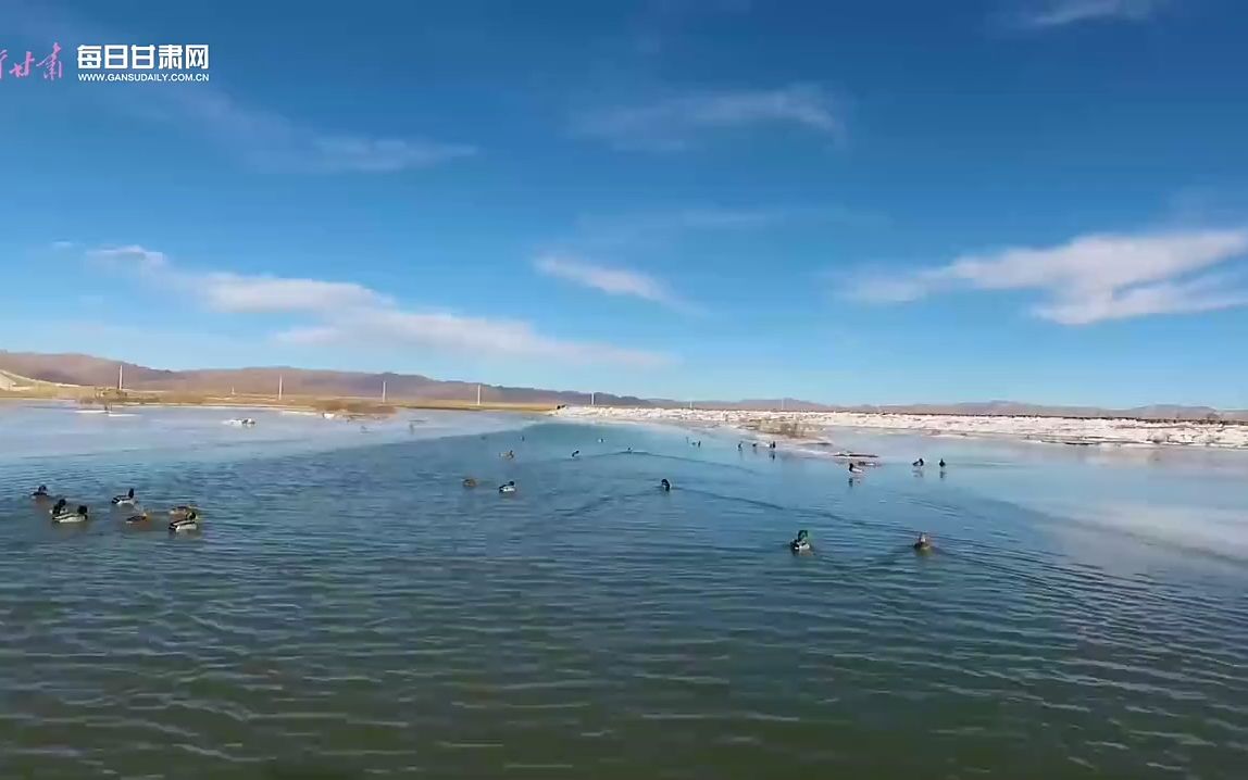 [图]【瞰陇原】看黄河流域 赏生态美景