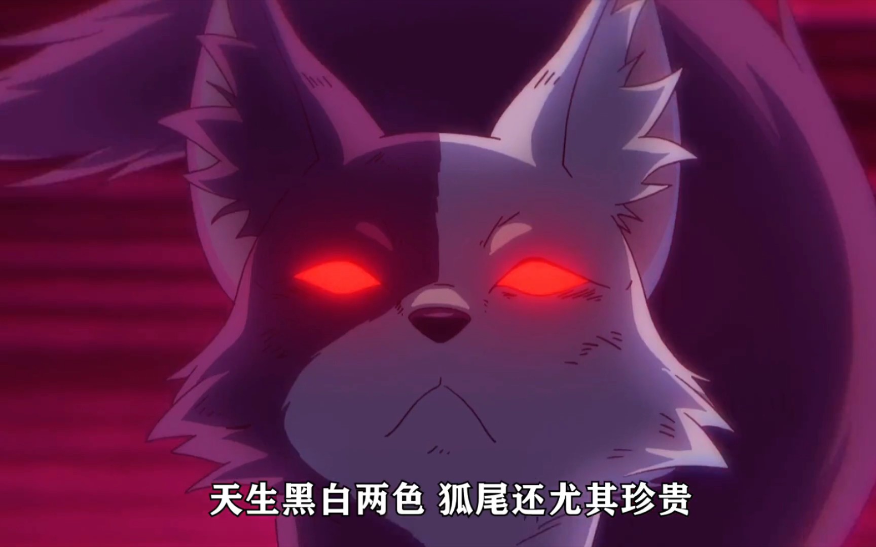 百妖谱(1)灰狐上:看似不经意的玩笑话,灰狐却铭记在心,一记就是四十年
