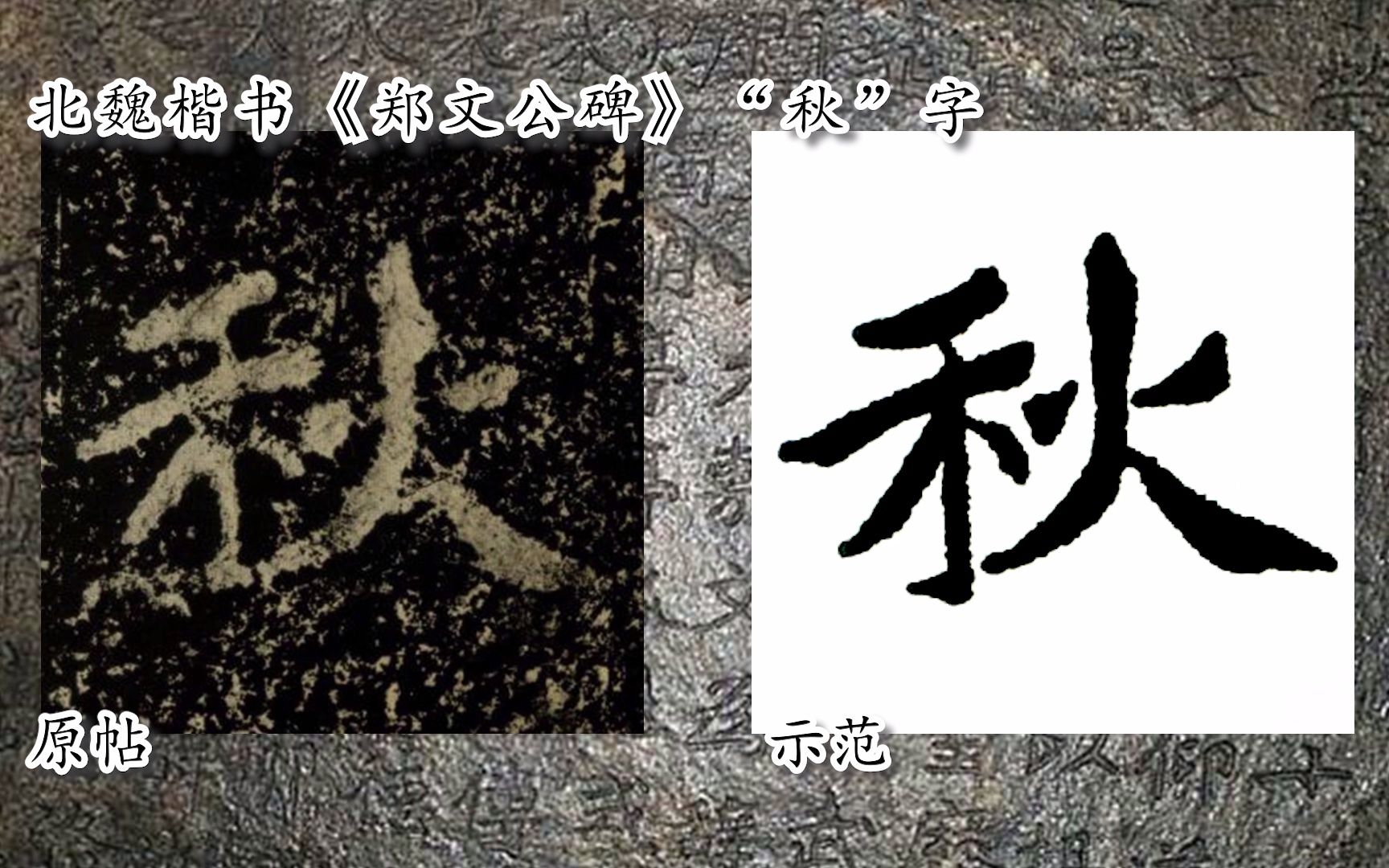 [图]【每日一字】书法视频，周东芬临北魏楷书《郑文公碑》“秋”字