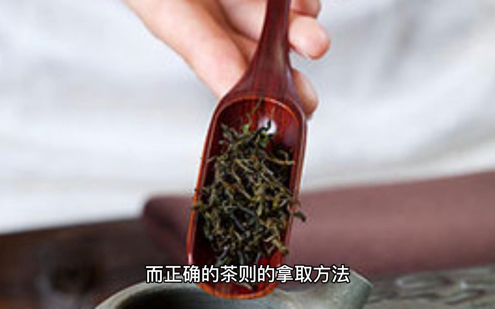 「茶文化」舞动茶叶间的默契,茶则的拿取方法解析!哔哩哔哩bilibili