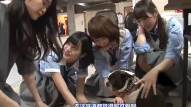 石森虹花/-哔哩哔哩_Bilibili