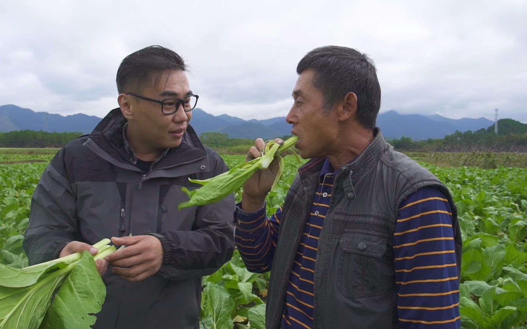 【品城记】连州 ︳这儿的迟菜心名声在外,但我没想到直接从地里拔出来就能生吃!哔哩哔哩bilibili