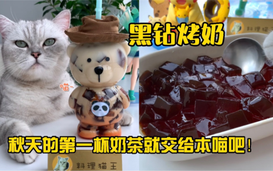 猫大厨特制黑钻烤奶,秋天的第一杯奶茶就交给他吧!哔哩哔哩bilibili