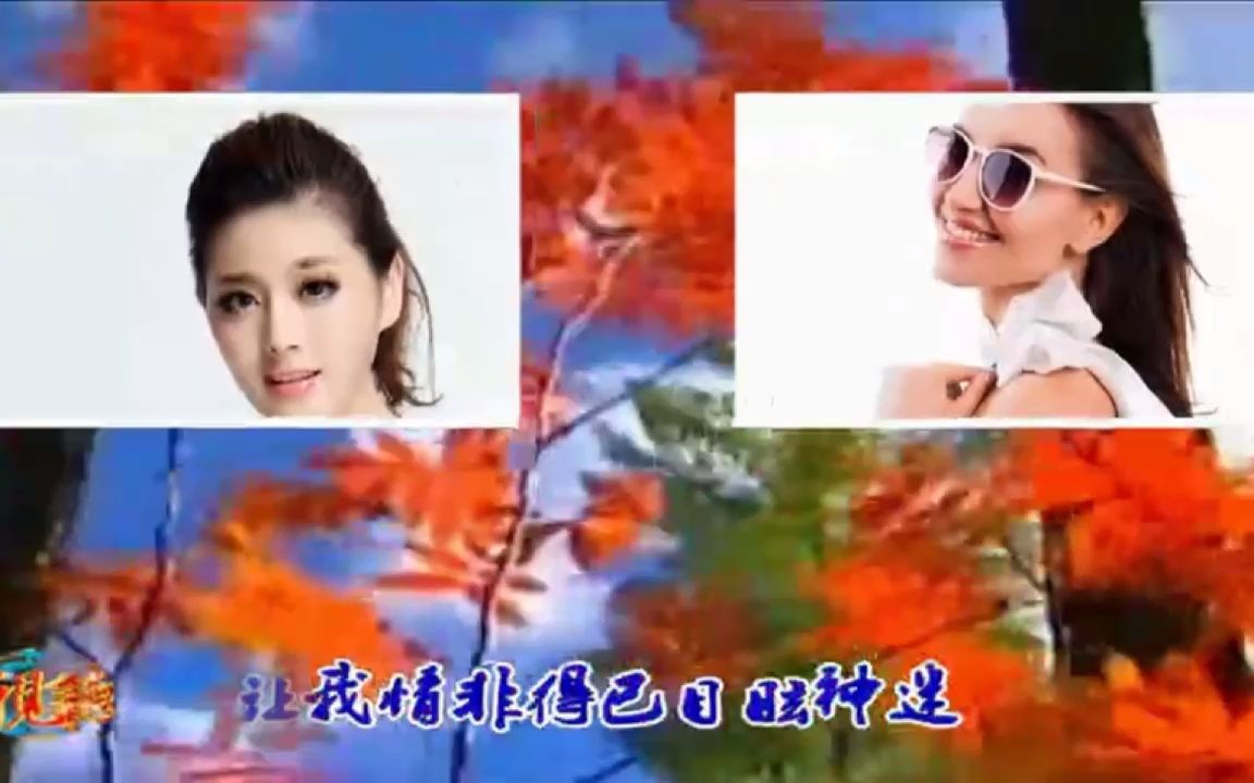 [图]星月组合《你是我红尘中最美的缘》（DJ版）