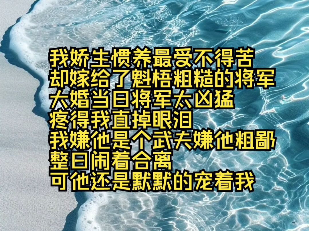 沐野娇养我娇生惯养最受不得苦,却嫁给了魁梧粗糙的将军,我嫌他是个武夫,嫌他粗鄙,整日闹着合离,可他还是默默的宠着我哔哩哔哩bilibili