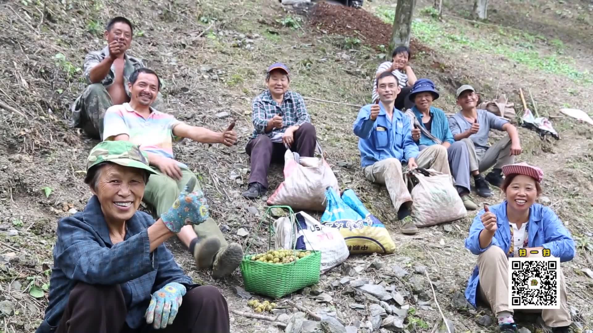 临安山核桃为什么买这么贵,知道真相后我好心疼!哔哩哔哩bilibili