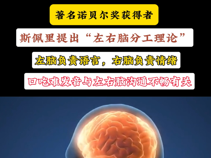 著名诺贝尔奖获得者斯佩里提出“左右脑分工理论”,左脑负责语言,右脑负责情绪,口吃难发音和左右半球大脑脑波沟通不畅有关哔哩哔哩bilibili