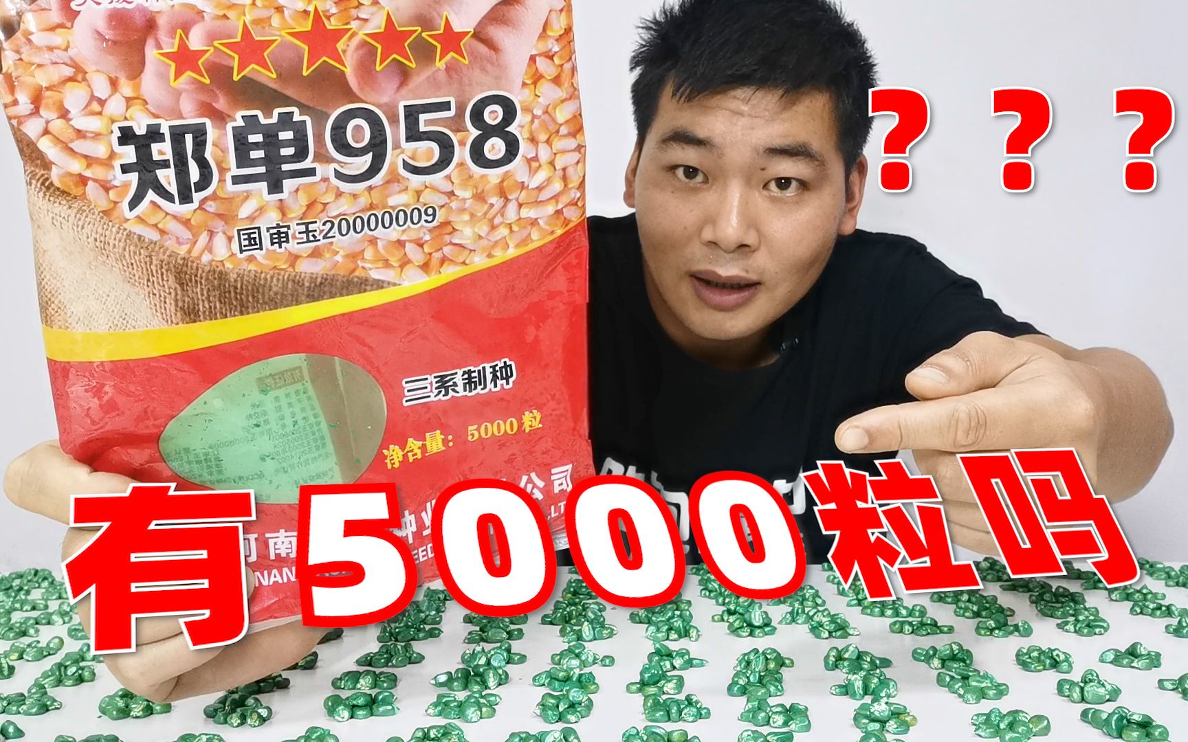 [图]号称有5000粒的玉米种子，真的有那么多粒吗？果断数一数！