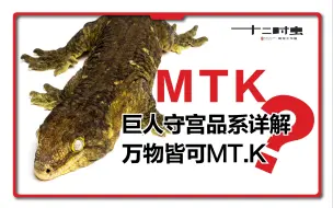 Download Video: 巨人守宫MT.K品系详解【万物皆可mtk？】