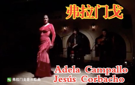 [图]【弗拉门戈】体会Flamenco深歌Seguiriya的深沉（歌手Jesús Corbacho 舞者Adela Campallo）日本演出