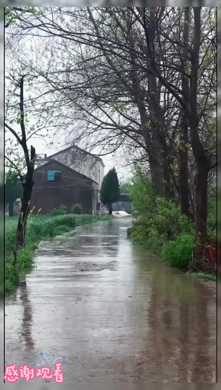 雨中的乡间小路,雨水滴落的声音,像是在述说着童年的往事:小时候闷热的午后,总会有一场大雨伴随着浓烈的泥土味扑面而来, 香香的….”后来才知道...