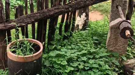 [图]辘轳汲水