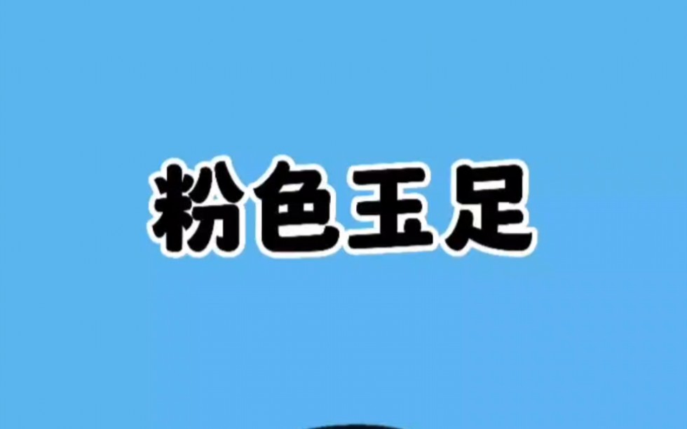 粉色玉足哔哩哔哩bilibili