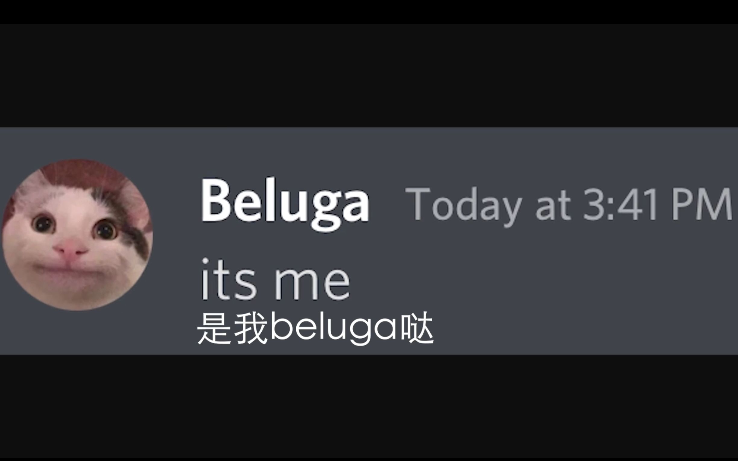 [图][Beluga和他的小伙伴]油管之主是谁？