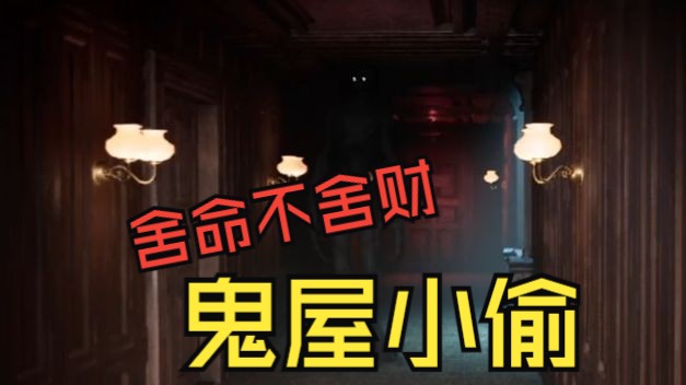 [图]舍命不舍财，鬼屋小偷（dark hours）demo联机试玩