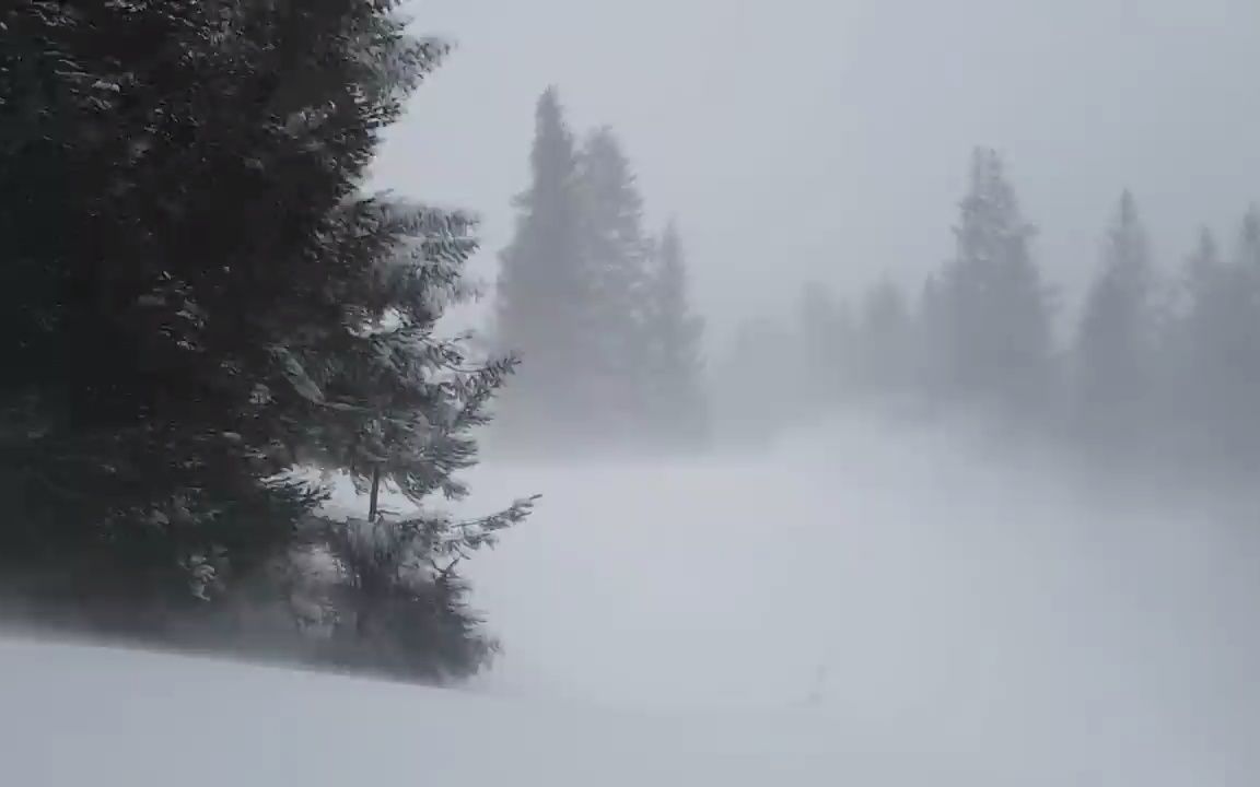 史诗般的暴风雪呼啸的暴风雪声音狂风大雪完美的睡眠声音哔哩哔哩bilibili