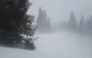 Tải video: 史诗般的暴风雪呼啸的暴风雪声音狂风-大雪完美的睡眠声音