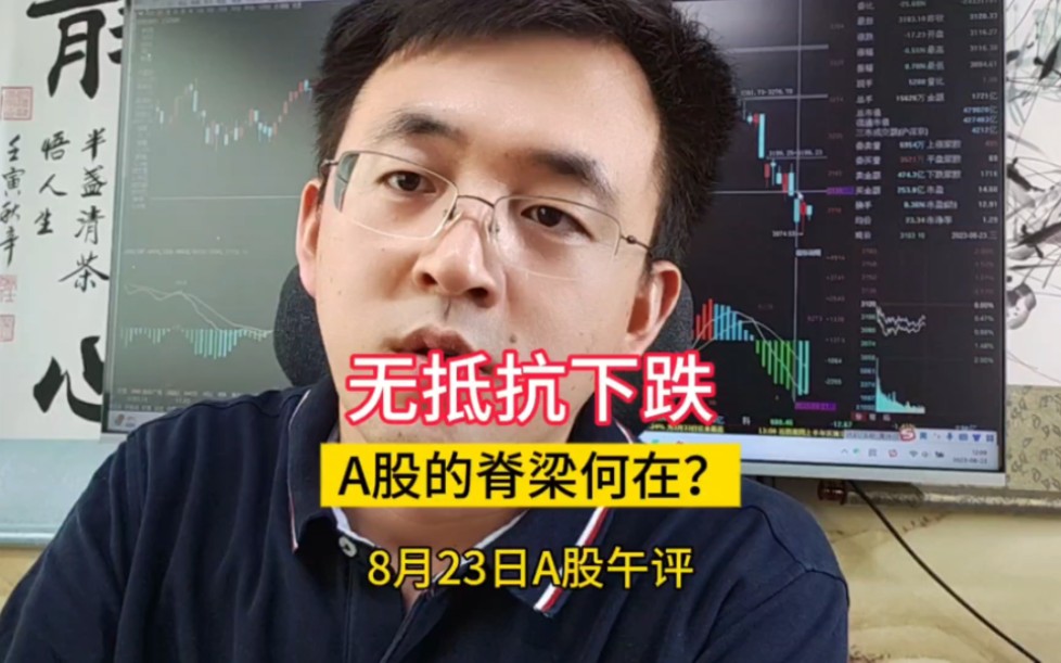 无抵抗单边下跌,难道就没人管了吗?A股的脊梁何在?哔哩哔哩bilibili