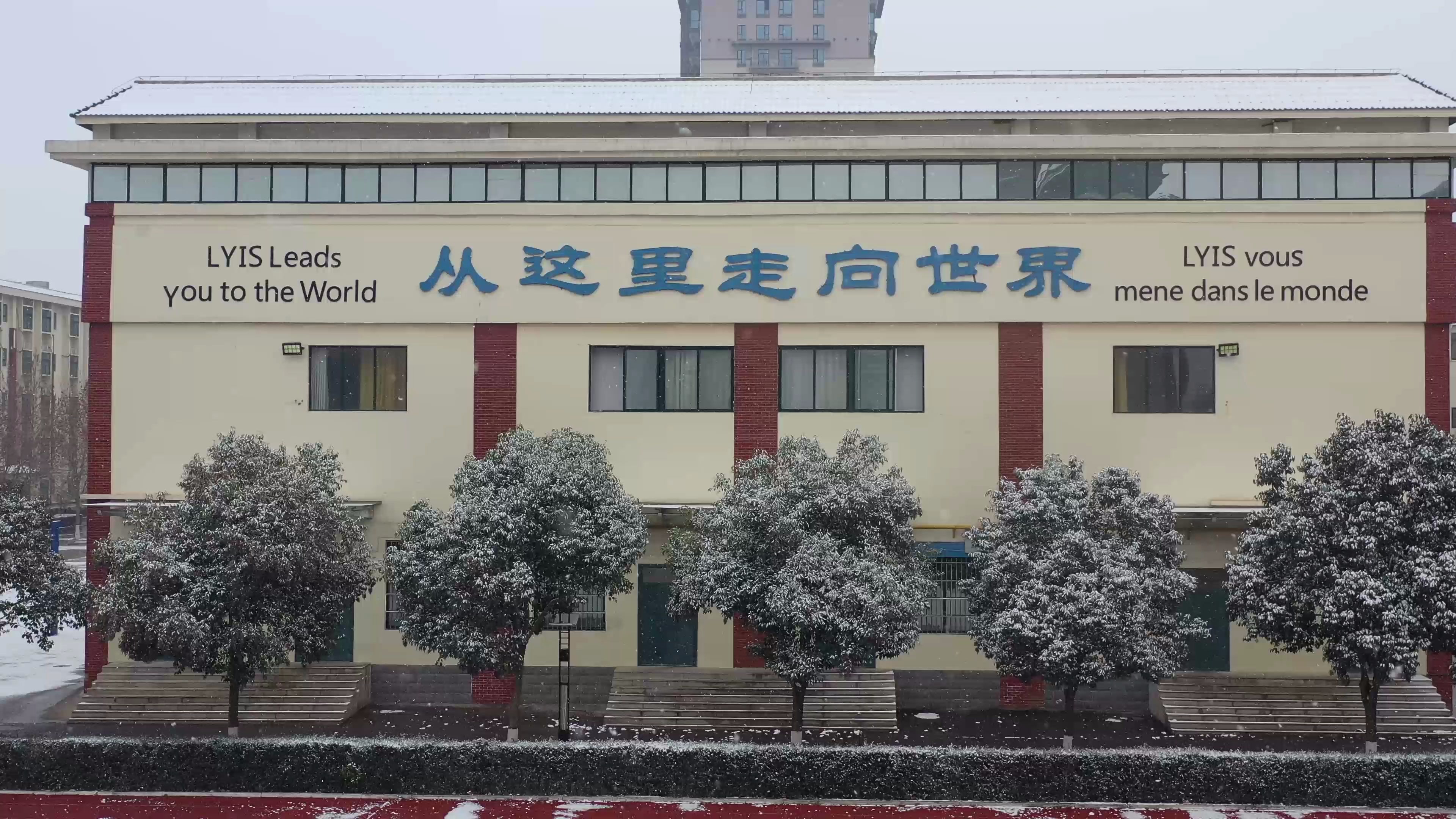 洛阳国际学校雪景