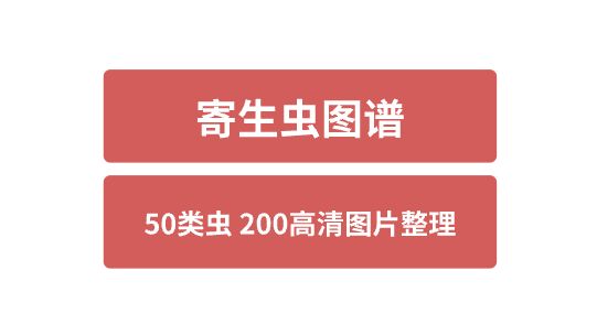 寄生虫图谱200高清图50类虫哔哩哔哩bilibili