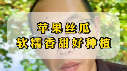 丝瓜品种千千万,吃起来软糯香甜的苹果丝瓜,你吃过吗?!哔哩哔哩bilibili