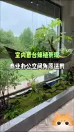 Download Video: 小面积的植物景观小景，充分利用窗台、角落空间进行造景，创意设计，凸显造景多样性！ #仿真植物景观 #角落绿植景观 #窗台绿植景观 #室内仿真绿植 #四川天海铭园