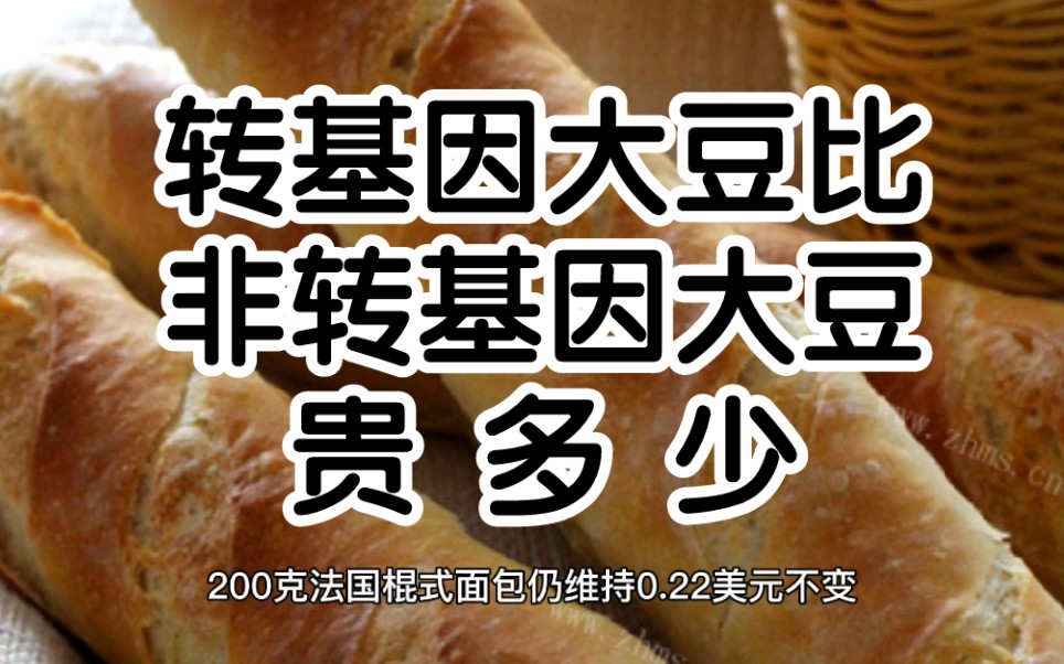 2月9日国际粮价:转基因大豆和非转基因大豆价差每吨高达500元;玉米大范围反弹上涨行情能否再次重演引关注,小麦稳步前行哔哩哔哩bilibili