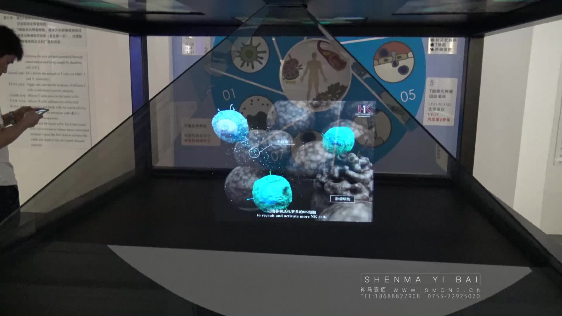 全息成像投影干细胞再生医学多媒体展厅交互系统联动屏裸眼3d