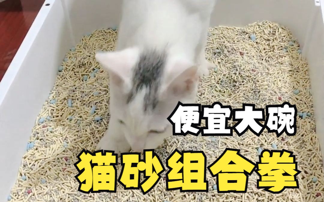 猫砂测评|双11必囤好物便宜好用的个位数豆腐猫砂推荐哔哩哔哩bilibili