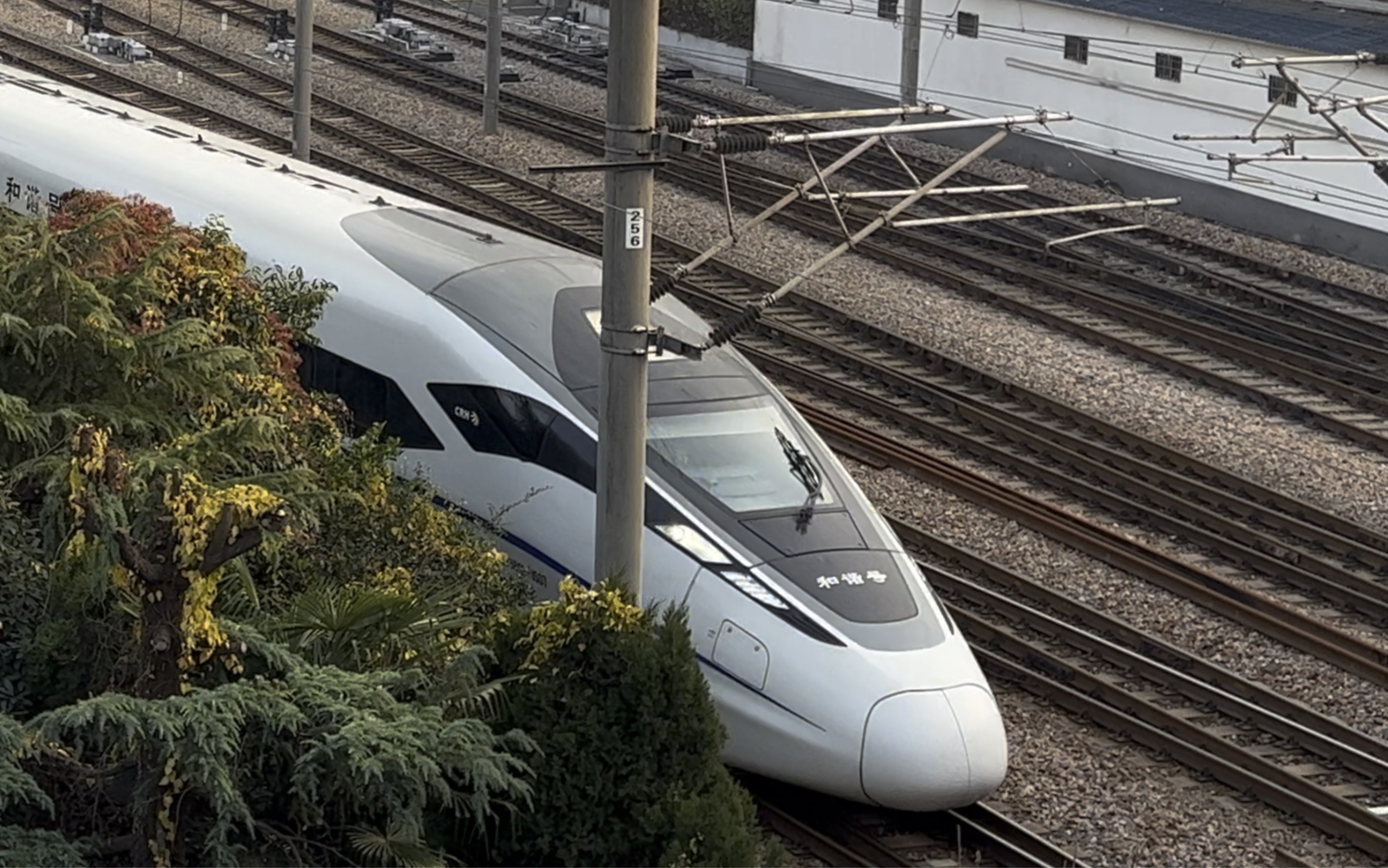 CRH380e图片