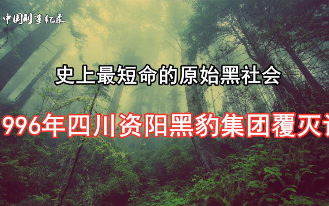 史上最短命的原始黑社会…1996年四川资阳黑豹集团覆灭记哔哩哔哩bilibili