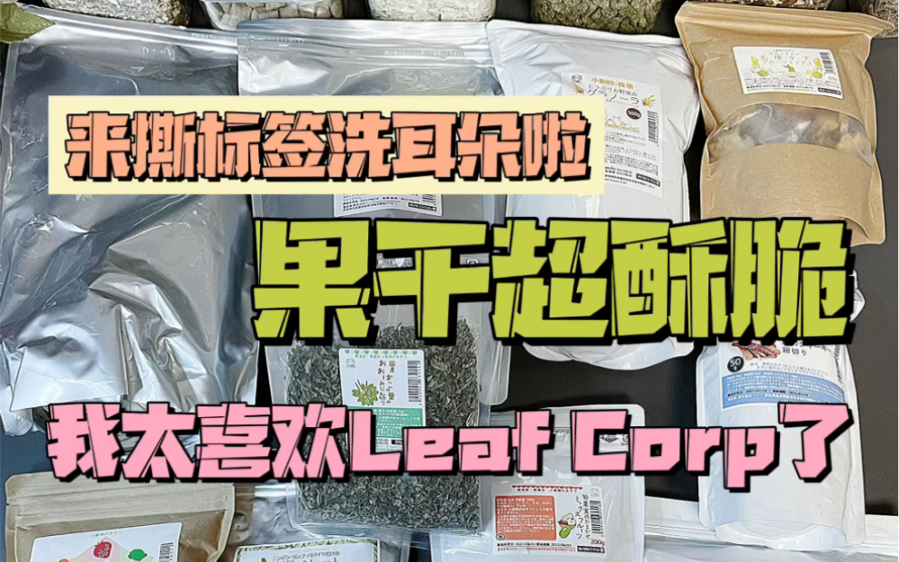 康ⷮŠ解压声控|Leaf Corp系列专场收纳!这几天可真是…..把我人都快累没了… 双旦活动仍在继续!可以去薇电看看哦~我在康家大院等你呀!哔哩哔哩bilibili