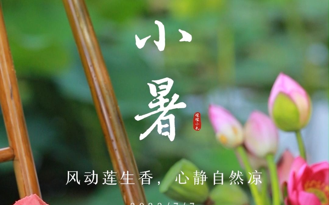 7月7日,小暑,风动莲生香,蝉鸣夏日长,愿你眼中有美景,心中有清凉,化伏为安,乐享美好夏日,小暑长安,余生皆欢.哔哩哔哩bilibili