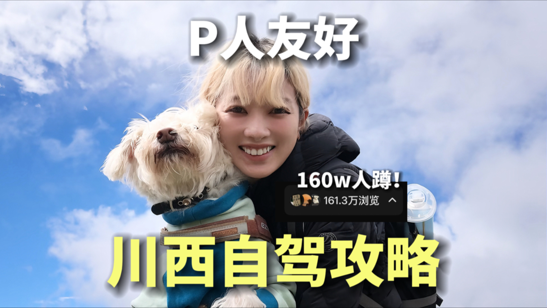 offer8讨论暂停！先看我三甲辞职一人一狗自驾川西攻略！