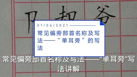 常见偏旁部首 单耳旁 写法讲解 哔哩哔哩
