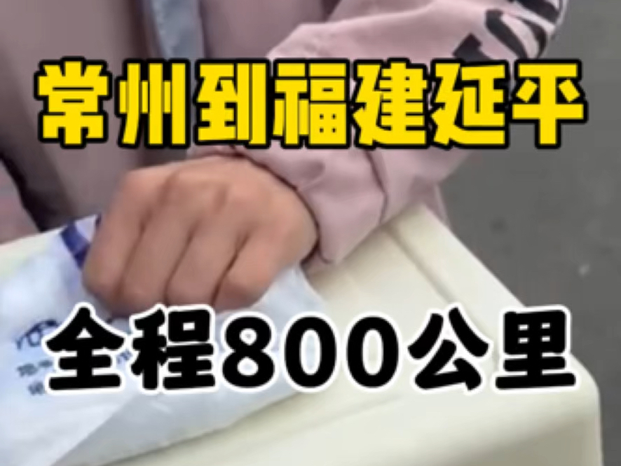 常州到福建南平延平宠物托运,全程800公里.上门接送一只小猫,感谢客户的信任与支持,不负所托,平安到家.哔哩哔哩bilibili