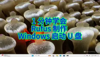 如何用 Rufus 制作 Win1011 启动 U 盘？