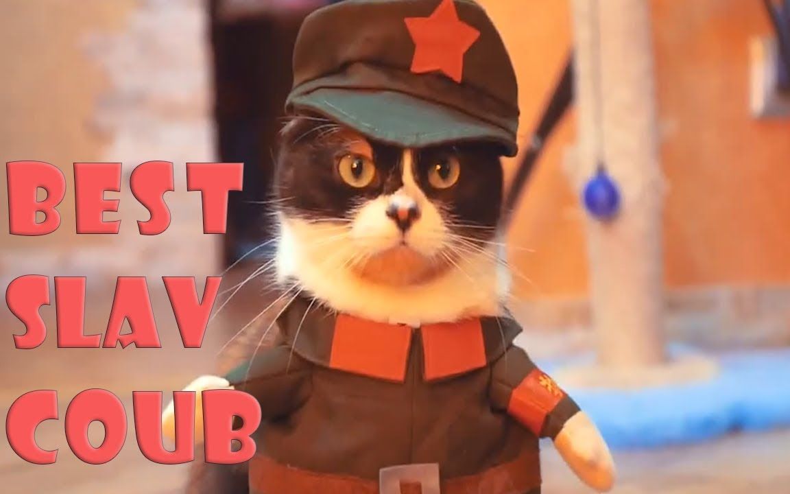 【毛子】cheeki breeki合集--让我们一起cheeki breeki