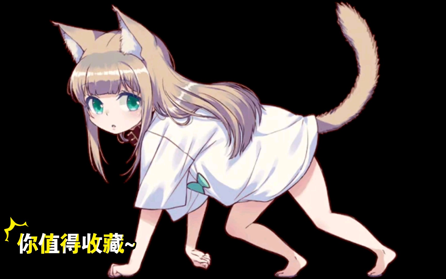 【osakana猫猫表情包合集】你值得收藏!哔哩哔哩bilibili