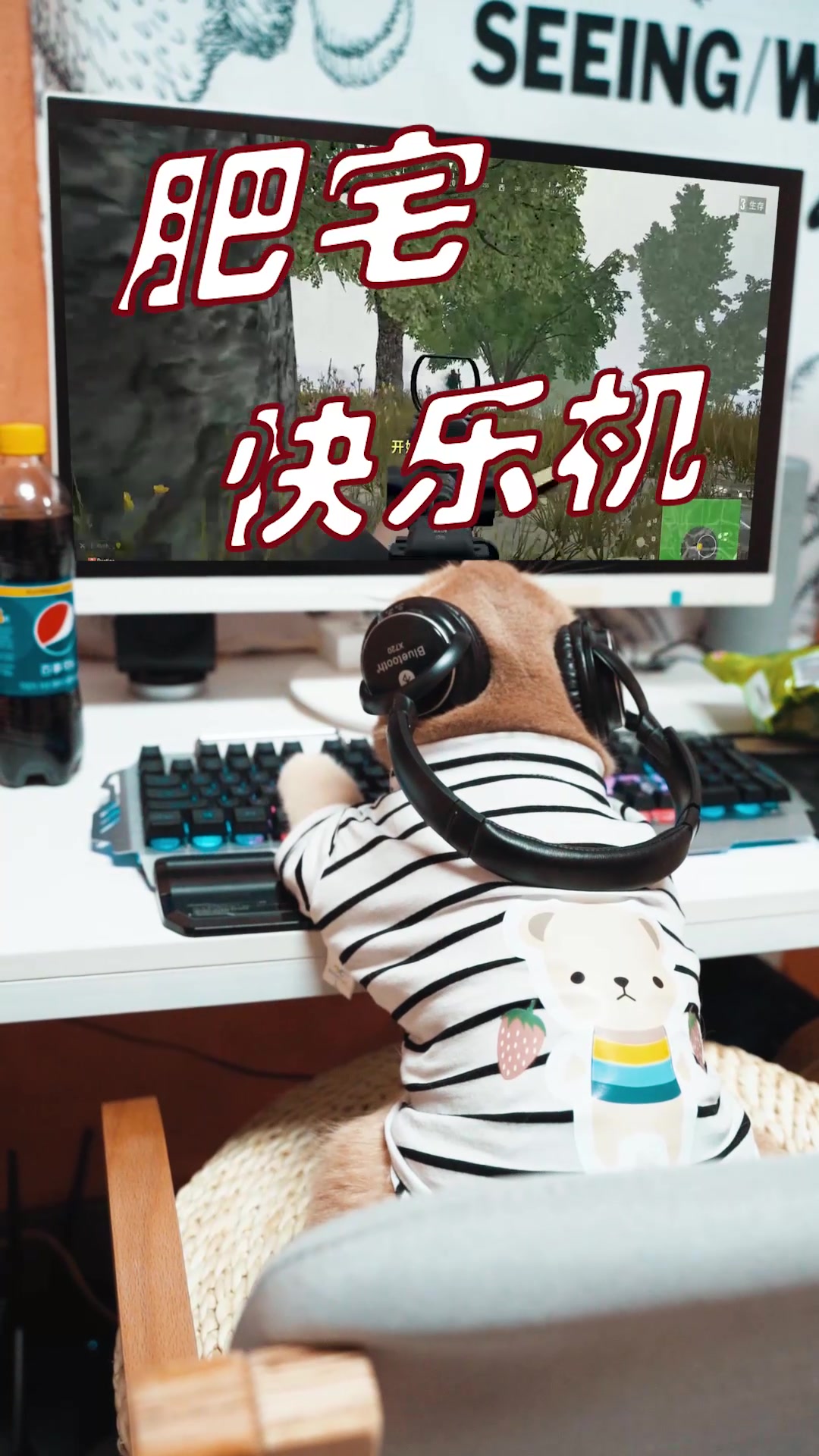 肥宅快乐兽的暑假