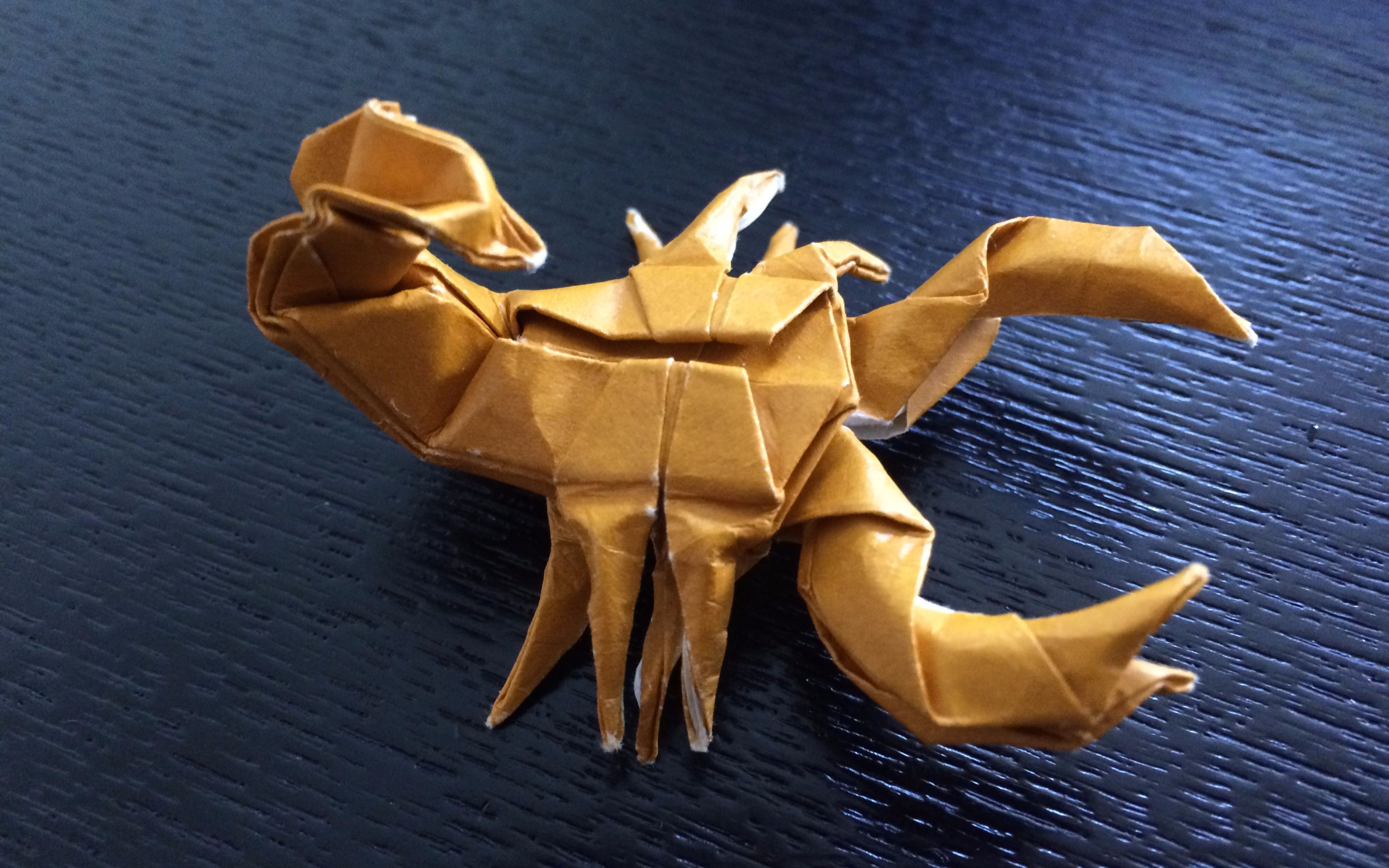折纸蝎子 毒蝎图片