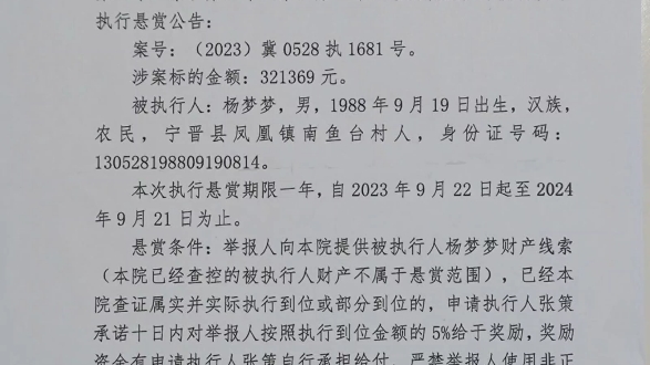 河北省宁晋县人民法院执行悬赏公告南鱼台杨梦梦又名杨龙飞#法院#老赖哔哩哔哩bilibili